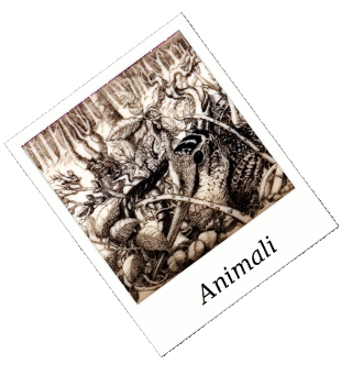 Animali