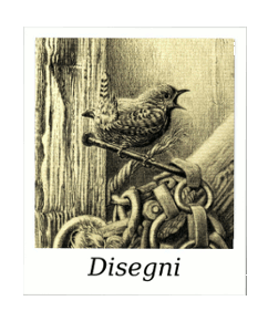 Disegni